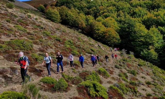  Visita guiada pela Sierra de la Demanda
