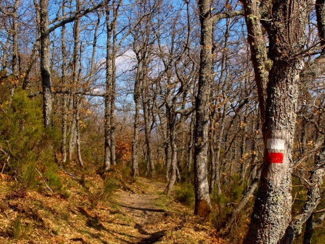 Sierra de la Demanda 
