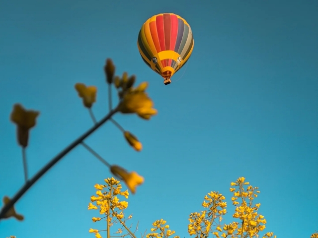  Flight spettacolare nel Globe 