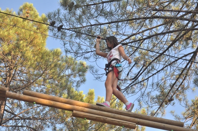  Hanging bridges 