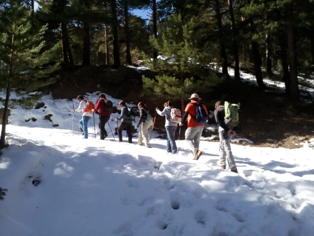  Promenade dans la neige de la Sierra Nevada 