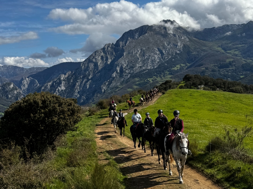 Riding a horse in Cantabria Riding a horse in Cantabria