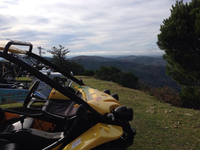 vistas amarillo