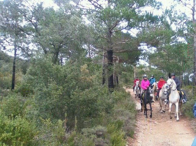 Excursion a caballo Tarragona