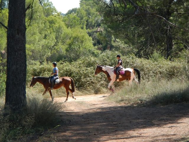 Paseos a caballo