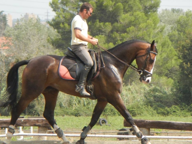 Jinete de la hípica antes de la ruta