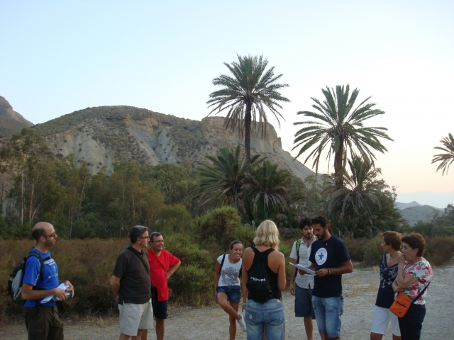  Oasis Lawrence d'Arabie 