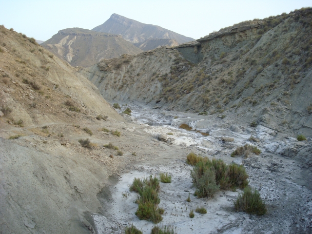  Monte Alfaro