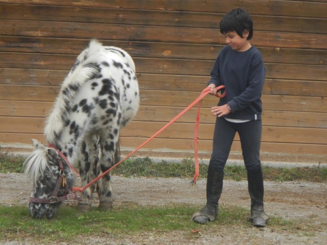 Llevando al poni de la soga