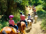 Cabalgamarra por el macizo de Montnegre 1h niños