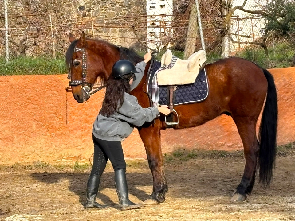 巴塞罗那儿童骑马路线 