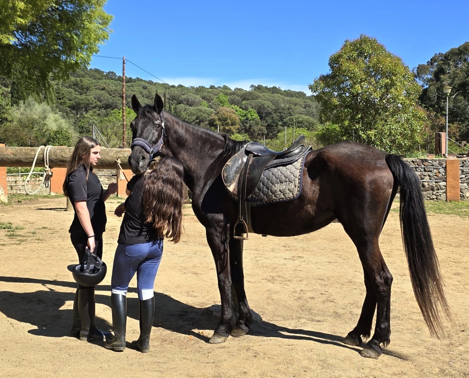  巴塞罗那儿童骑马路线 