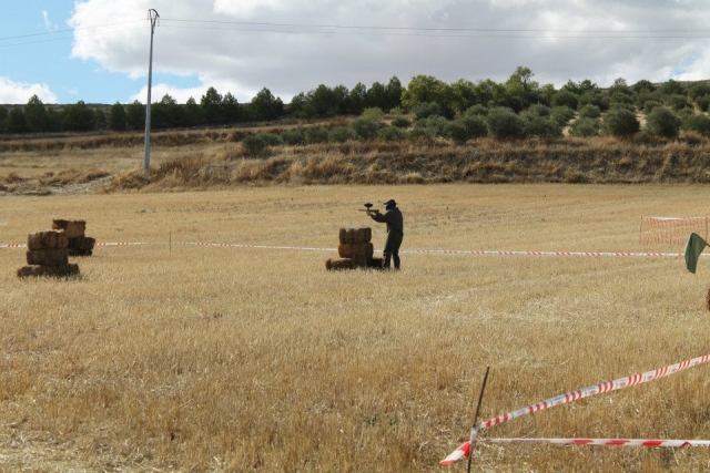 campo di paglia 