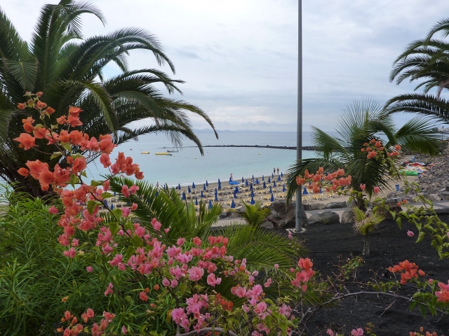 Playa Dorada en Lanzarole