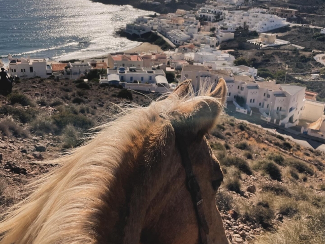  Escursione equestre ad Almería 