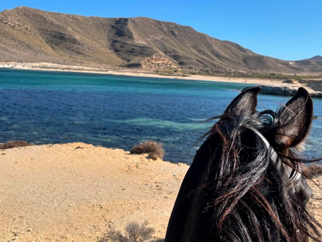  Valle Rodalquilar a cavallo 