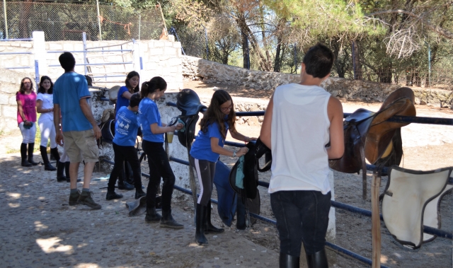 Pronto para andar a cavalo 