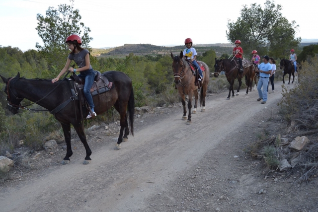 ruta muchos caballos