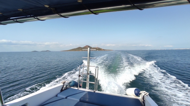 A disfrutar del paseo en barco