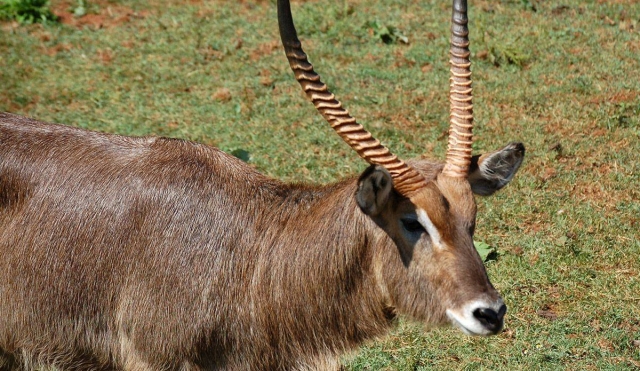  Parco di Cabarceno 
