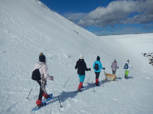  Touring the snowy fields of the Picos de Europa