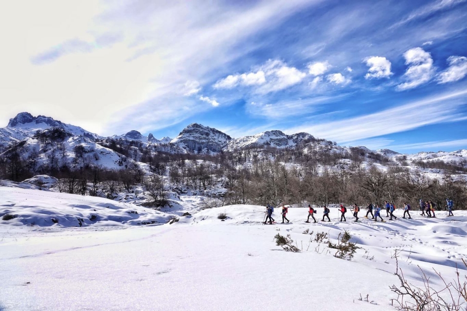 In giro per i campi innevati In giro per i campi innevati