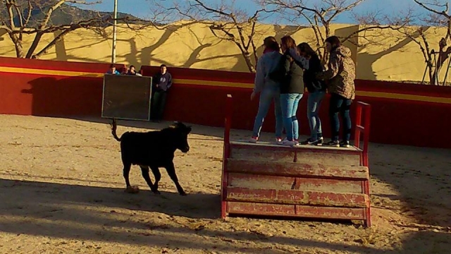 na plataforma. 