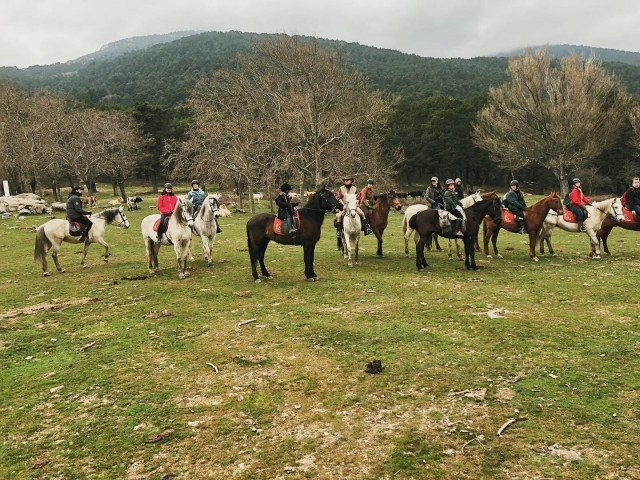  Passeggiata a cavallo per Madrid 