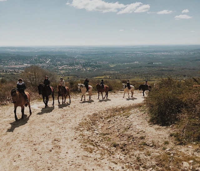  Passeggiata equestre nella Sierra de Guadarrama 