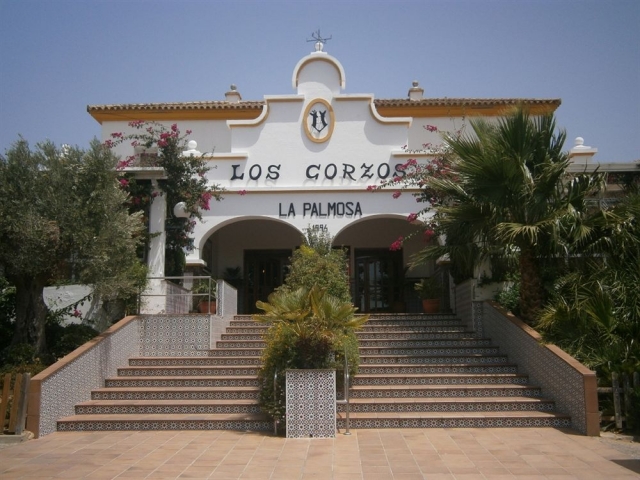 Hotel La Palmosa 
