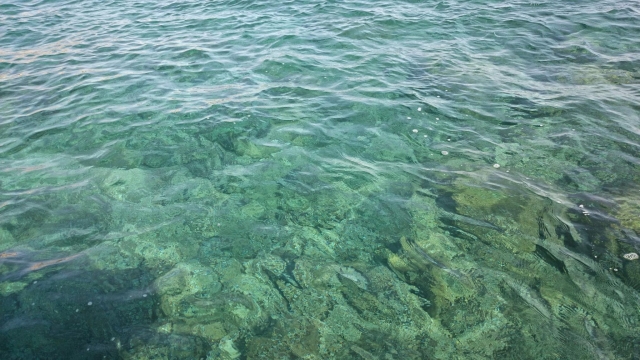 agua transparente