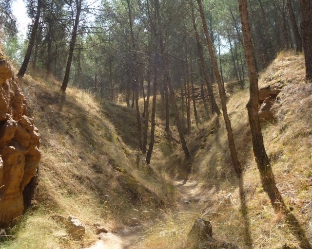  Parcours nature 