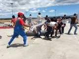 Abschied in Segovia, Karts, Paintball und Barbecue