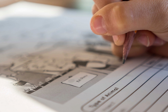  Materiais para aulas de inglês 