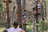 Circuitos de aventuras junior en Berceas, 3 horas