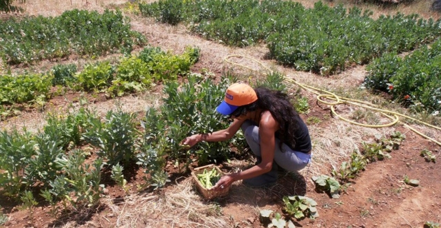  Au jardin