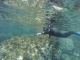 Snorkel Málaga