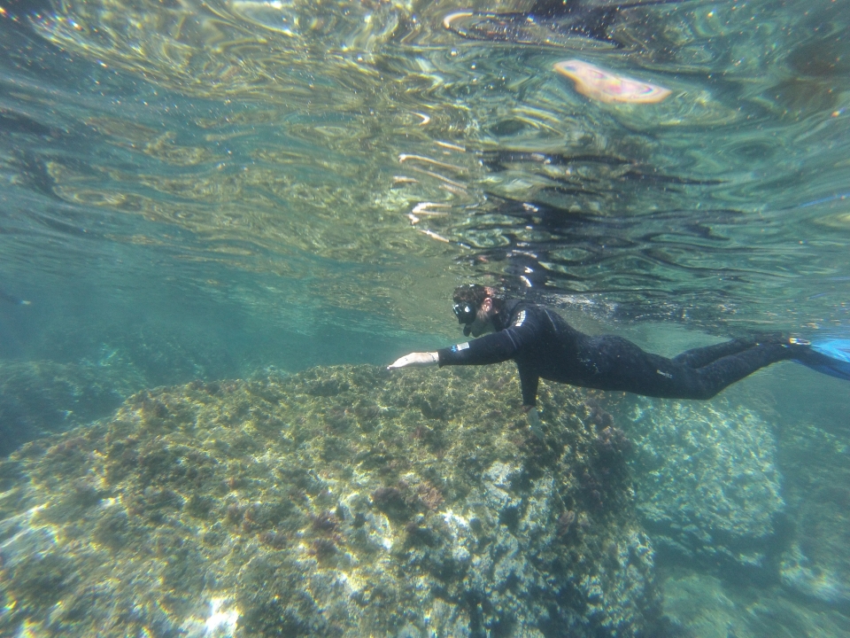 Snorkleing tour en Torrox