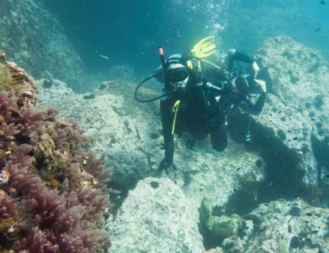  Fonds marins de la Méditerranée