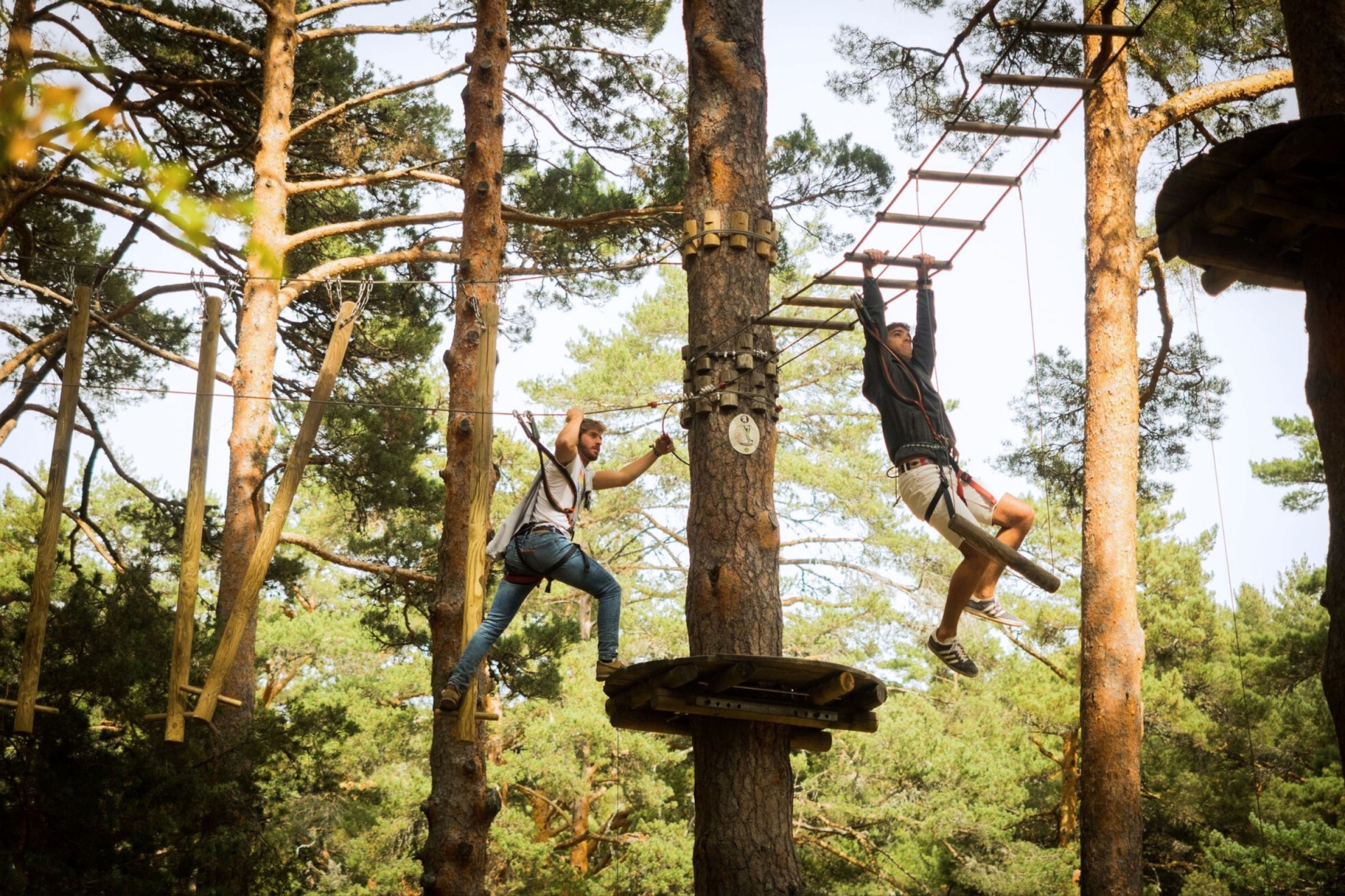 parques-de-aventura-y-tirolinas-en-espa-a-299-precios-y-ofertas-2026
