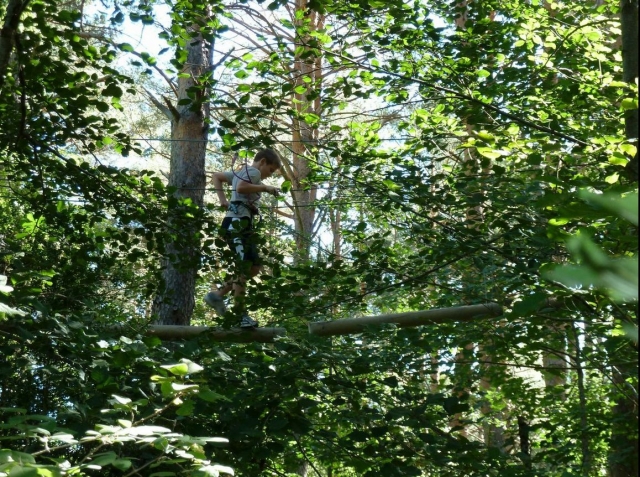  Attraversando i tronchi tra i rami 