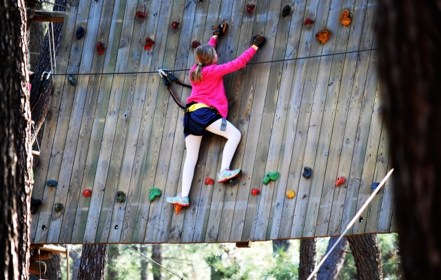 Parete da arrampicata 