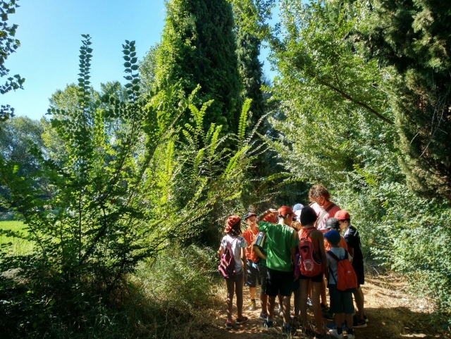  Orientierung im Wald 
