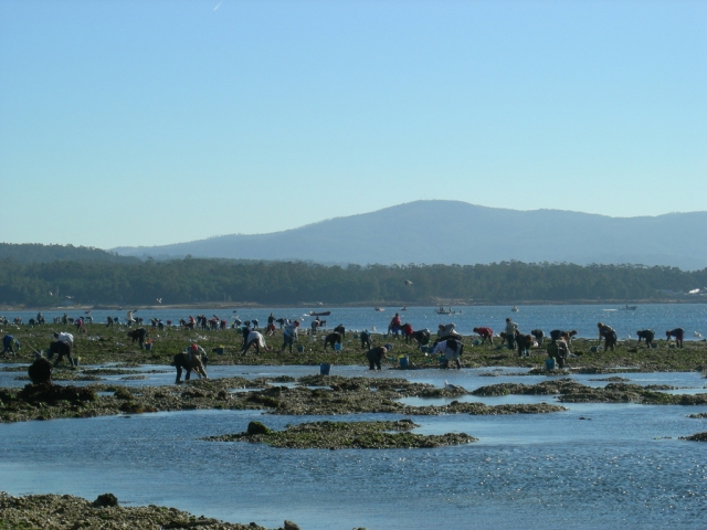  Catching seafood 