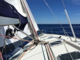 Regata del Delta en Barcelona, 3 días