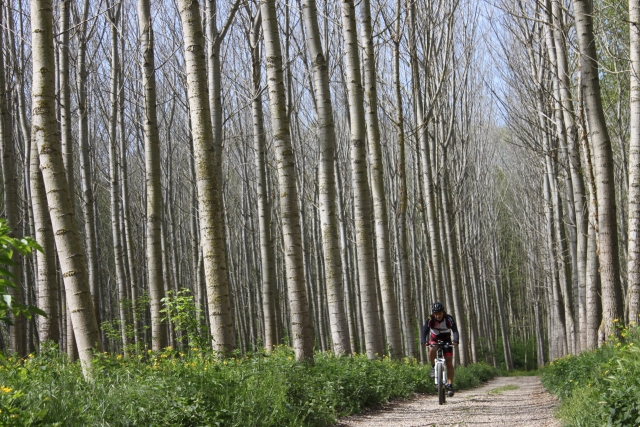 Ruta en BTT