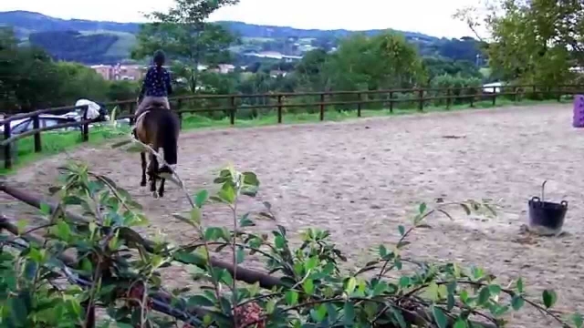  Reitunterricht 