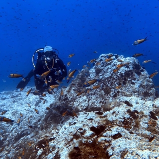 Cours PADI Advanced Open Water à La Manga 4 jours