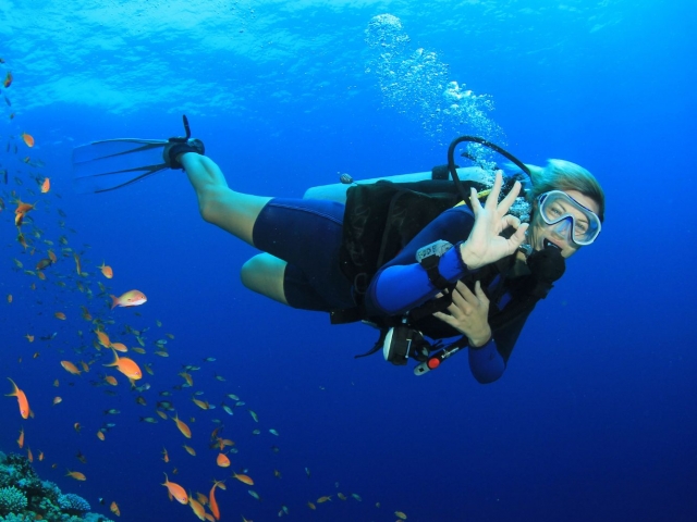 Disfruta de un bautismo de buceo en El Hierro