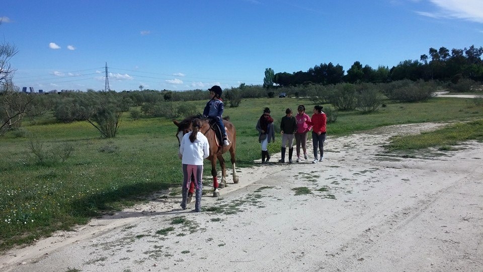 Kinderroute auf Pony 
